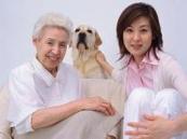 株式会社シンコー／株式会社シンコー