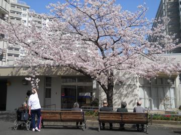 社会福祉法人江東ことぶき会|南砂高齢者在宅サービスセンター