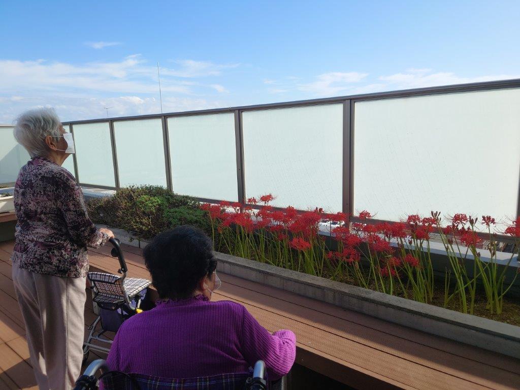 株式会社明昭|えど川明生苑