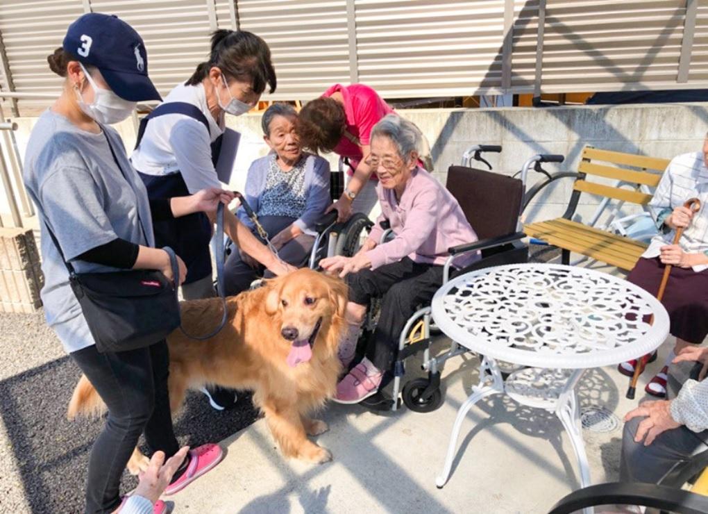 メディカル・ケア・サービス（学研グループ）|＜久喜市＞愛の家グループホーム久喜本町　夜勤介護職員契約社員（経験者）