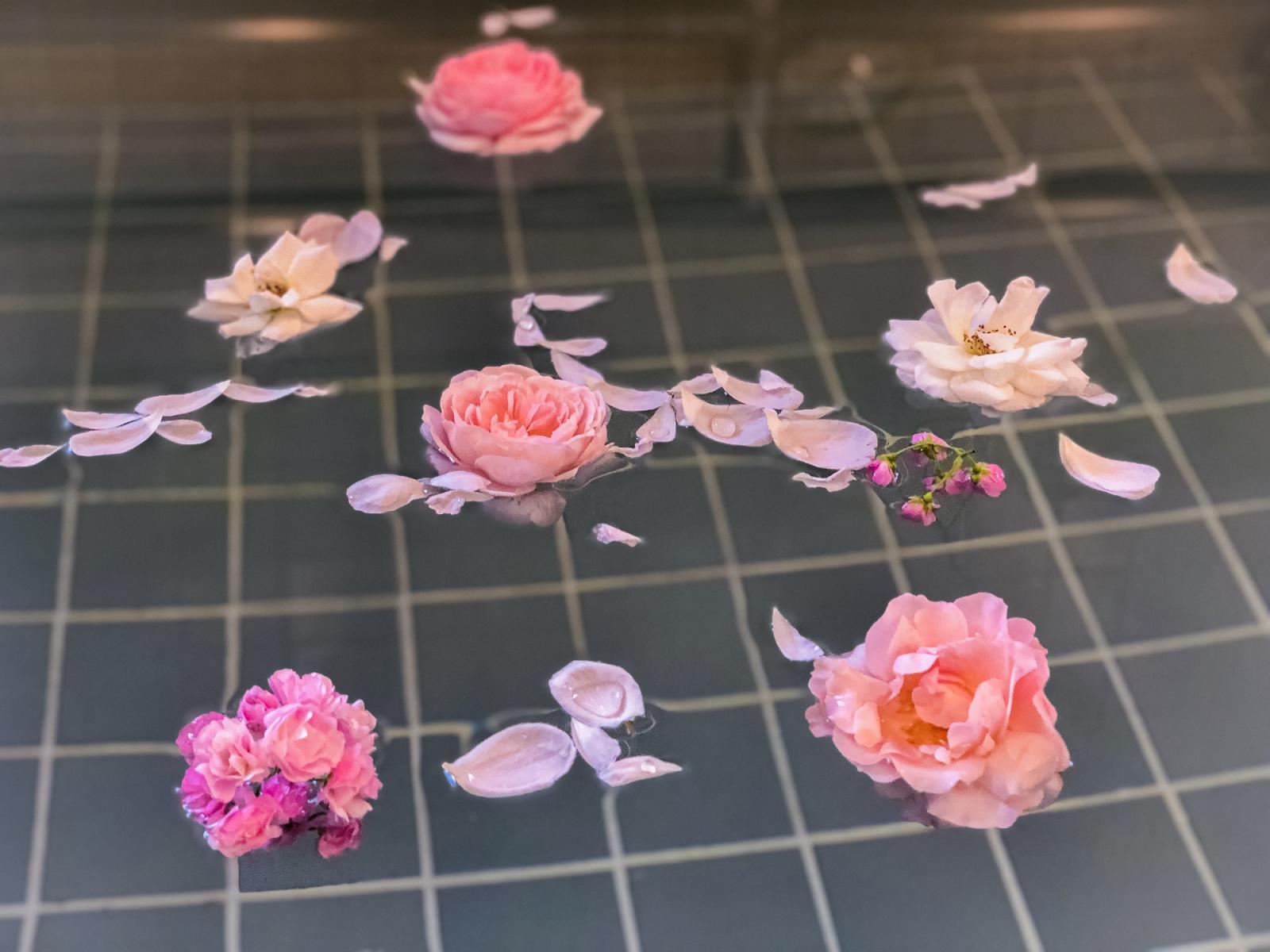 ヒューマンライフケア株式会社|【ヒューマンライフケア南与野の湯】サービス提供責任者×パート/hp006j06e03