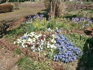社会福祉法人町田市福祉サービス協会|おりづる苑かなもり