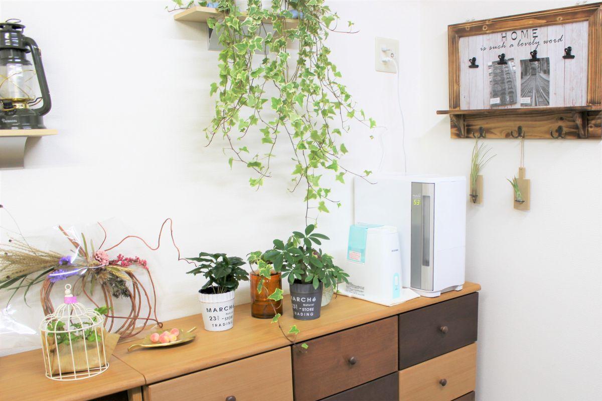 株式会社ひとはな|ヘルパー事業所　人・花　いずみ/hpiz04A