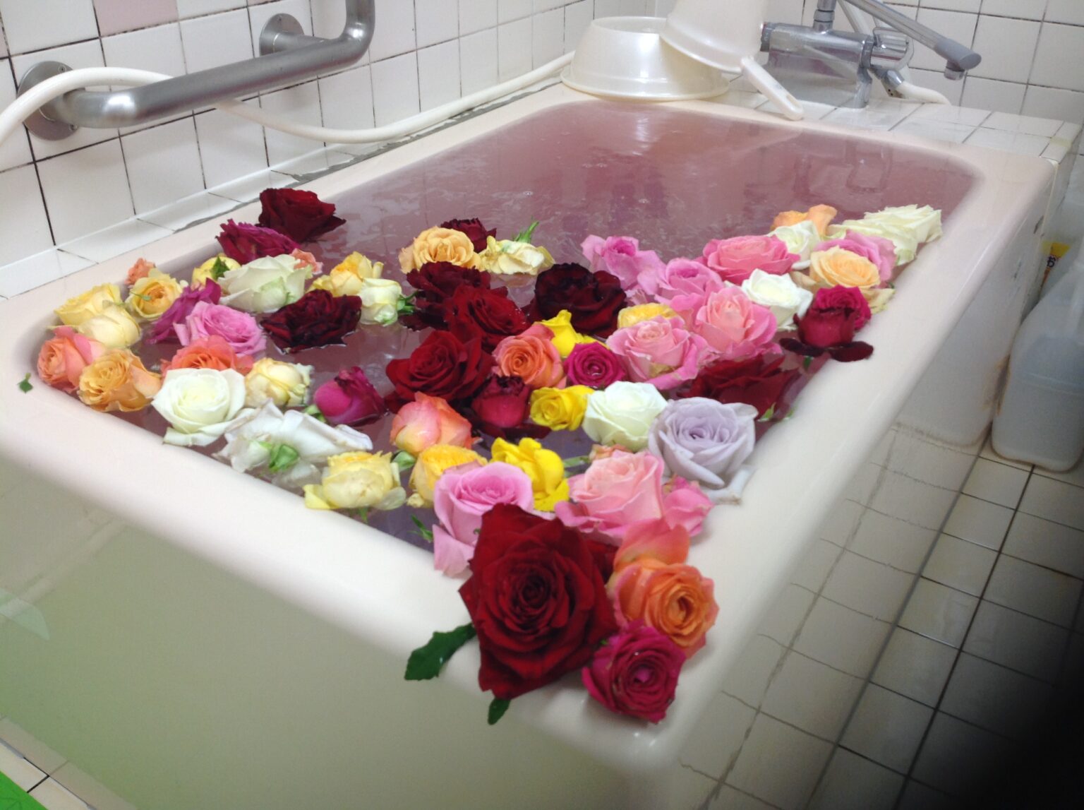 洛和会ヘルスケアシステム|通所介護・デイサービス　洛和デイセンター宇治