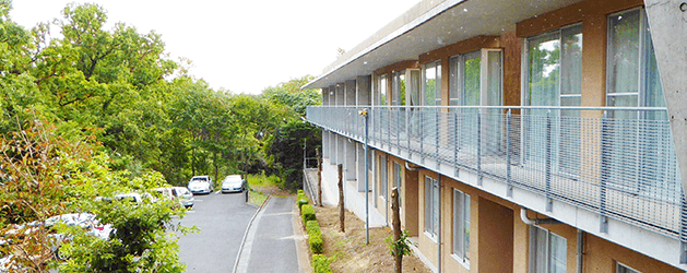 創生事業団／大磯幸寿苑(本社管理)[412]