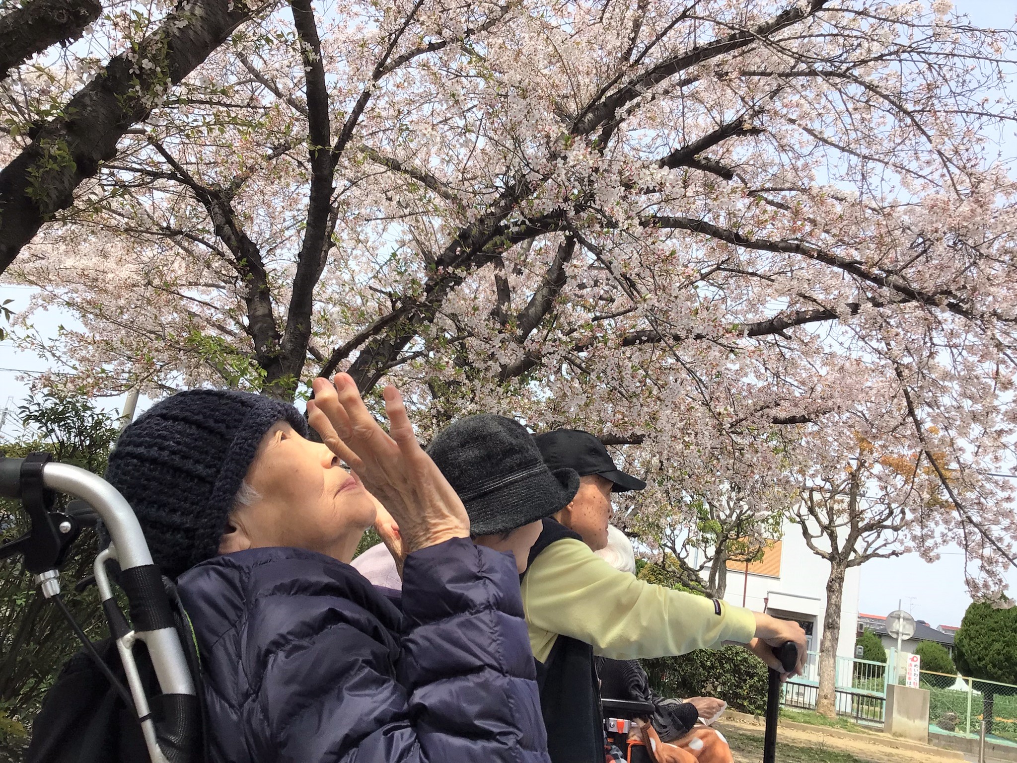 有限会社さざなみ／さざなみ大池橋