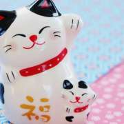招き猫体操？！座ったまま『手首ストレッチ』が意外と効果的！
