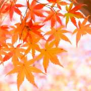 土用の風習が健康のコツ？！「秋の土用」食べ物や過ごし方は？