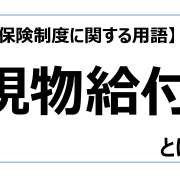 現物給付【介護保険制度に関する用語】