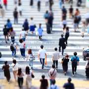 春の交通安全運動がスタート！今の季節に気を付けたい事故とは？
