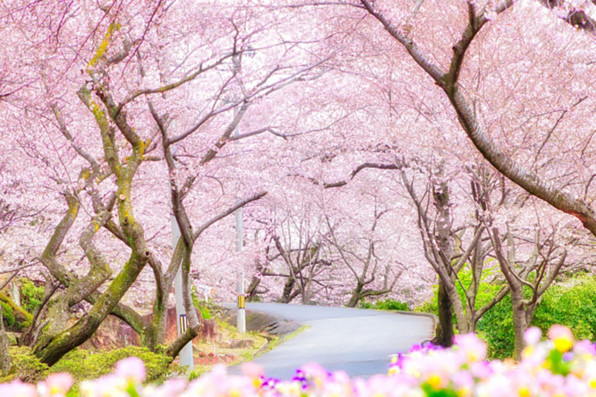「花まつり」って何をする日？由来や行事をわかりやすく解説！