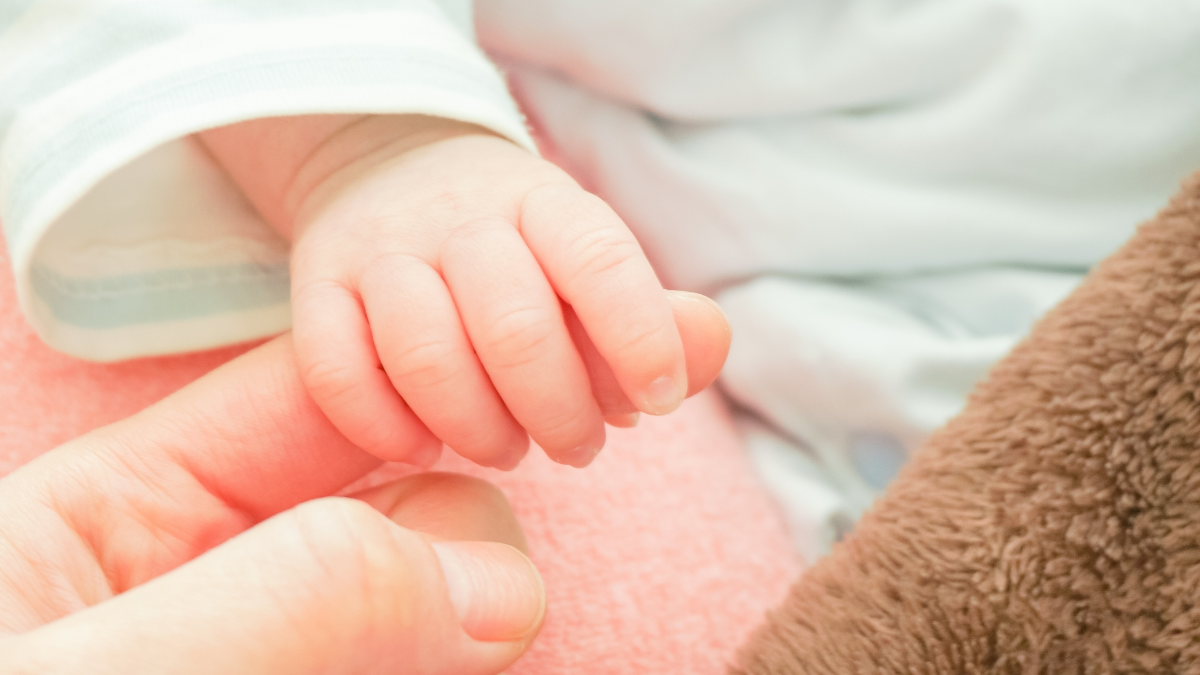 11月3日は何の日？ | 雑学とクイズで脳トレ・高齢者レク