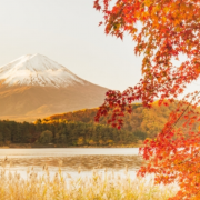 11月20日は何の日？ | 雑学とクイズで脳トレ・高齢者レク
