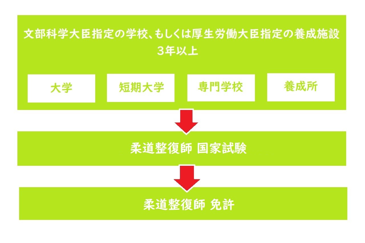 柔道整復師の資格取得ルート