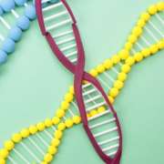 4月25日は何の日？ | 雑学とクイズで脳トレ・高齢者レク