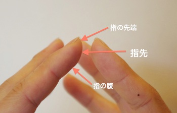 写真A　指先の場所は指の先端部と腹の間の斜めに見える部分