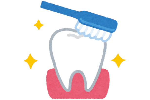 8月24日 今日は何の日 雑学とクイズで脳トレ 高齢者レク 介護求人ナビ